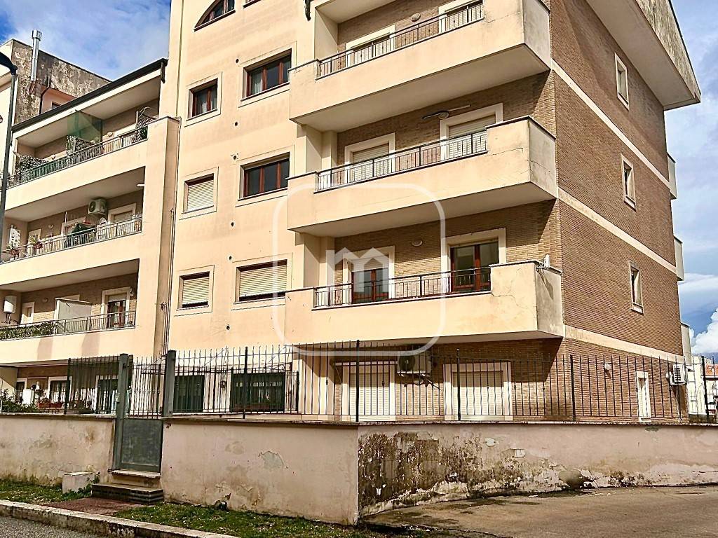 immagine annuncio 12 di 14