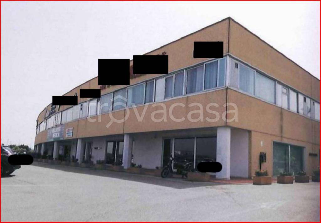 immagine annuncio 1 di 14