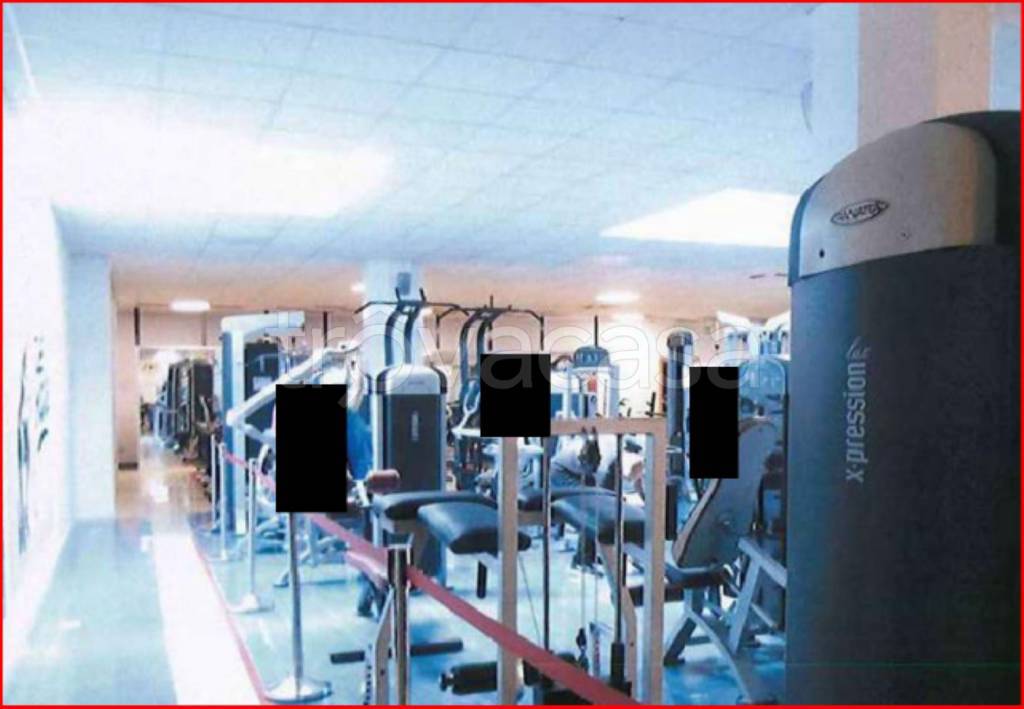 immagine annuncio 5 di 14