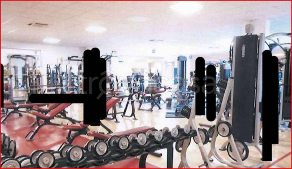 immagine annuncio 7 di 14