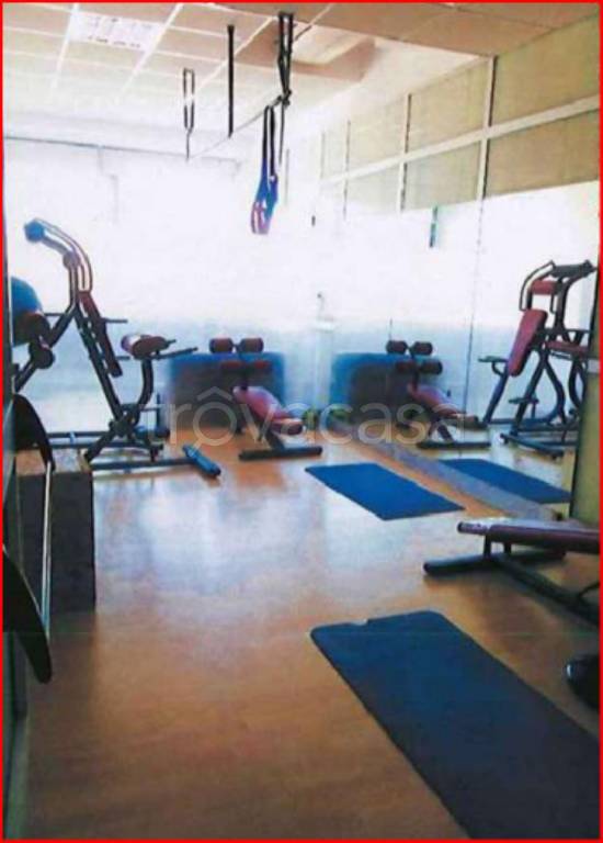 immagine annuncio 9 di 14