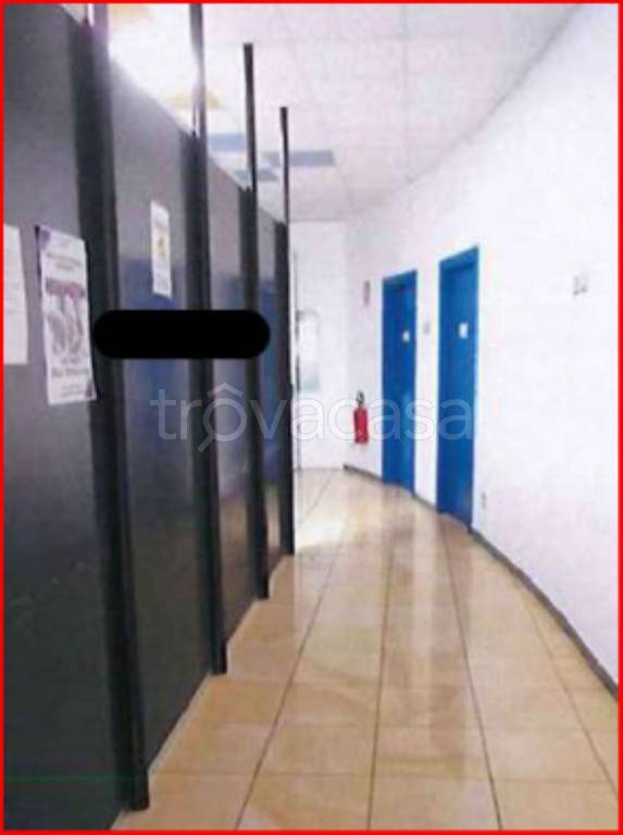 immagine annuncio 11 di 14