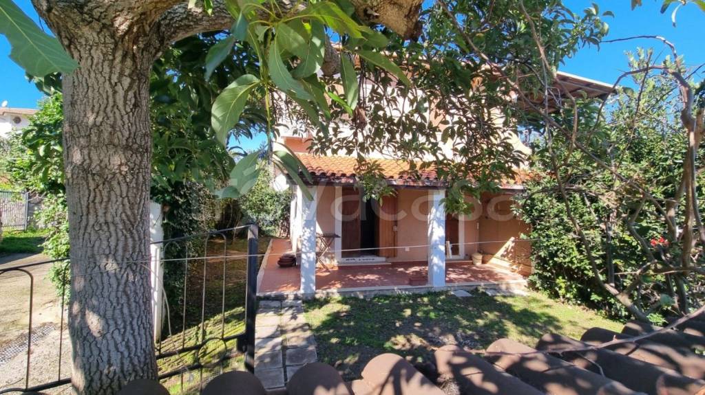 immagine annuncio 6 di 13