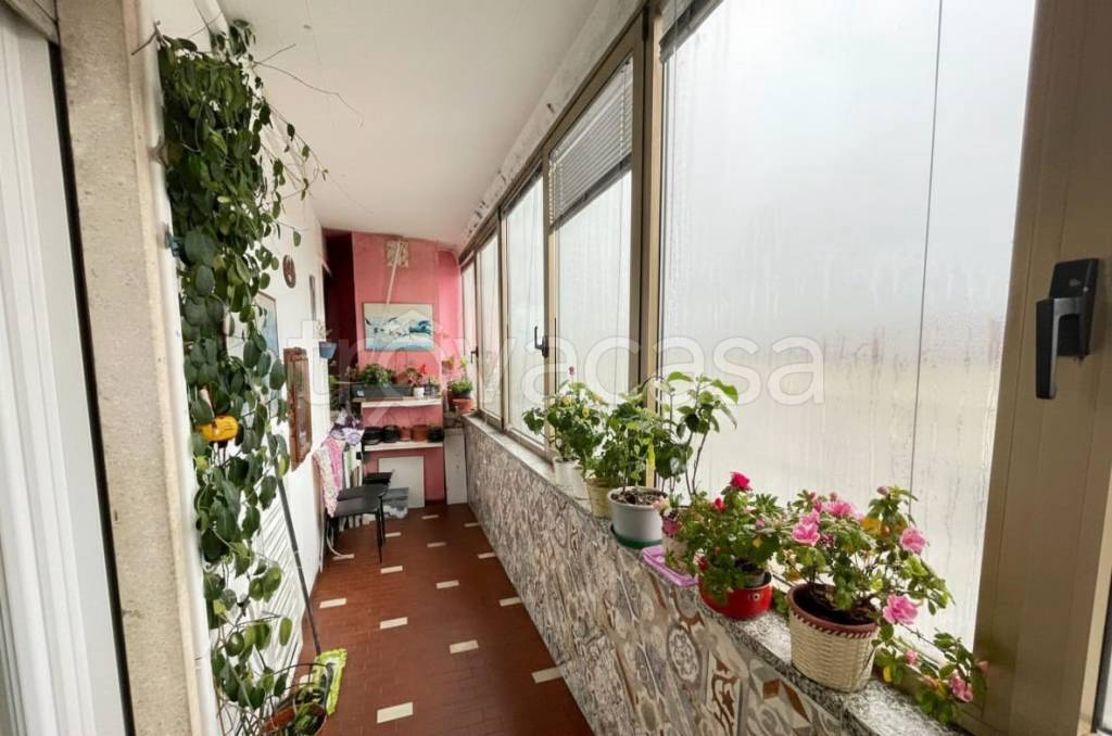 immagine annuncio 3 di 8