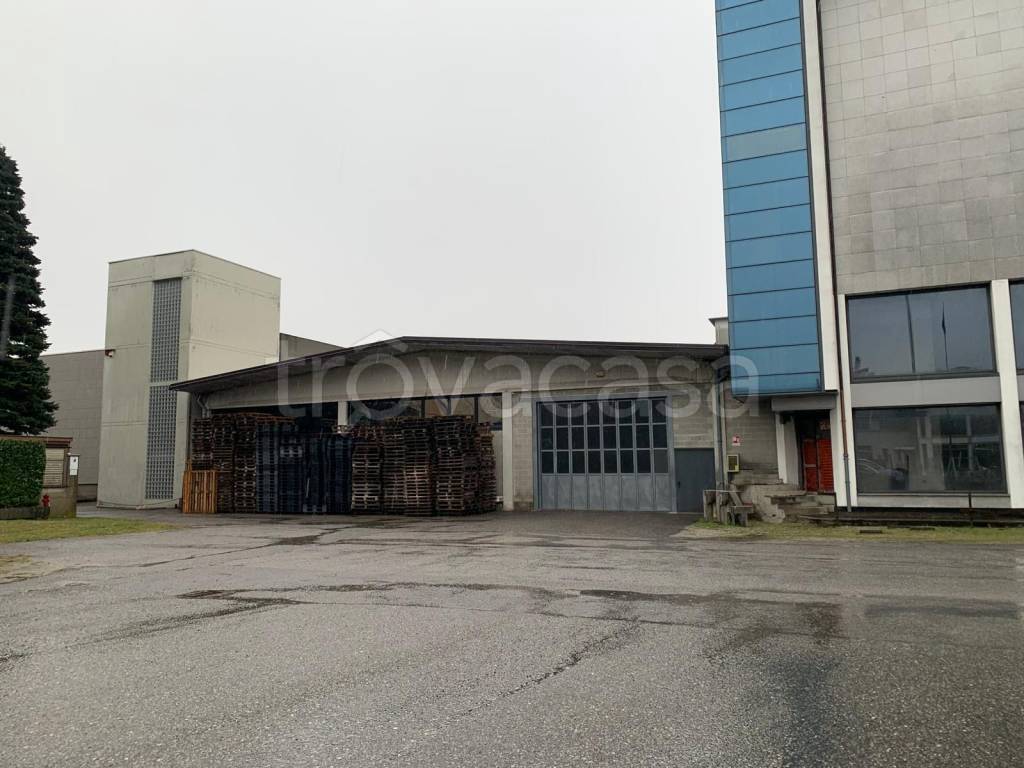 immagine annuncio 1 di 15