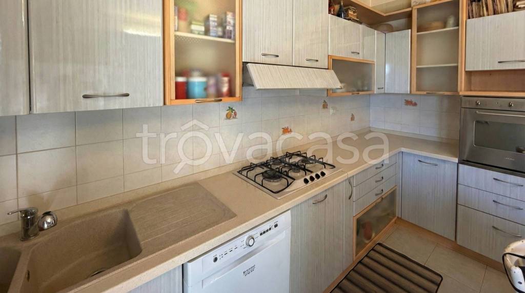 immagine annuncio 6 di 15