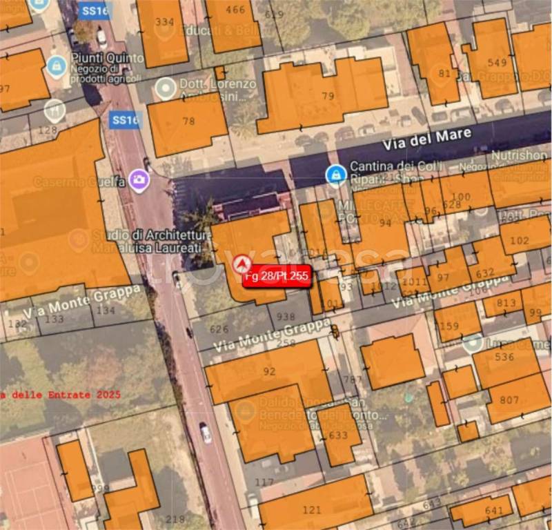 immagine annuncio 3 di 15