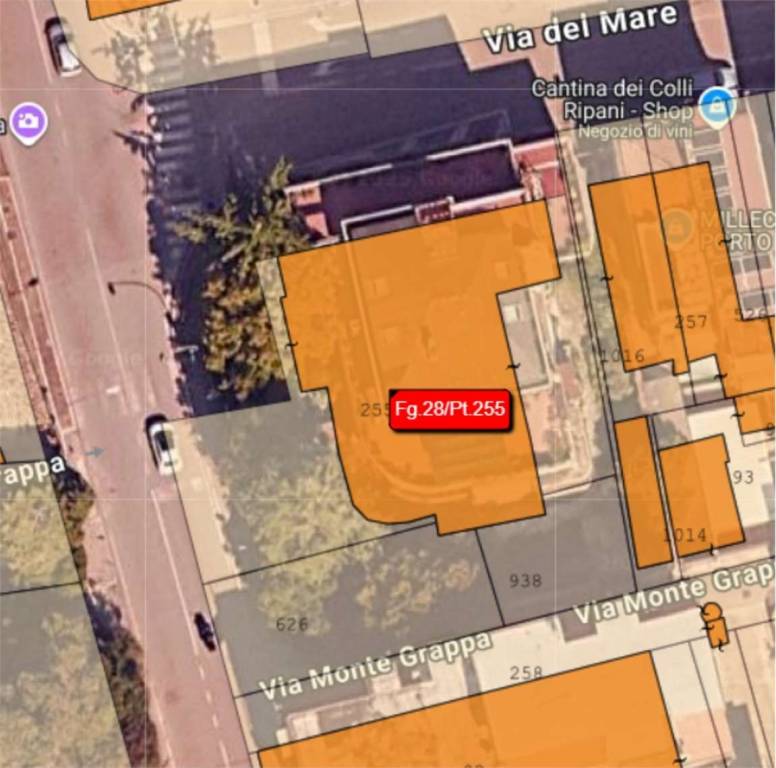 immagine annuncio 13 di 15