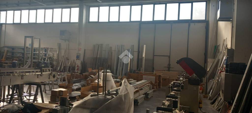 immagine annuncio 4 di 14