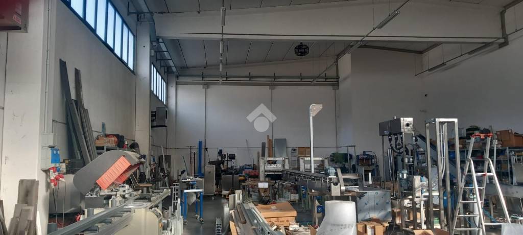 immagine annuncio 5 di 14