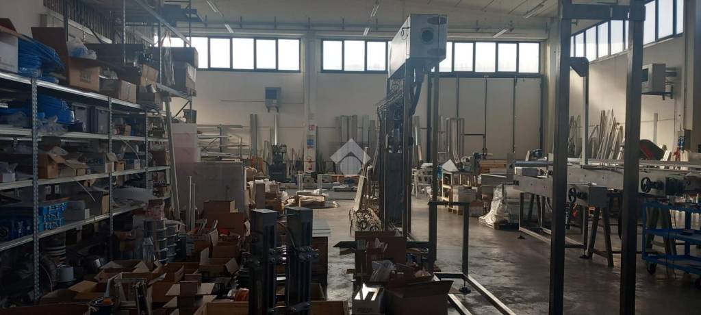 immagine annuncio 7 di 14