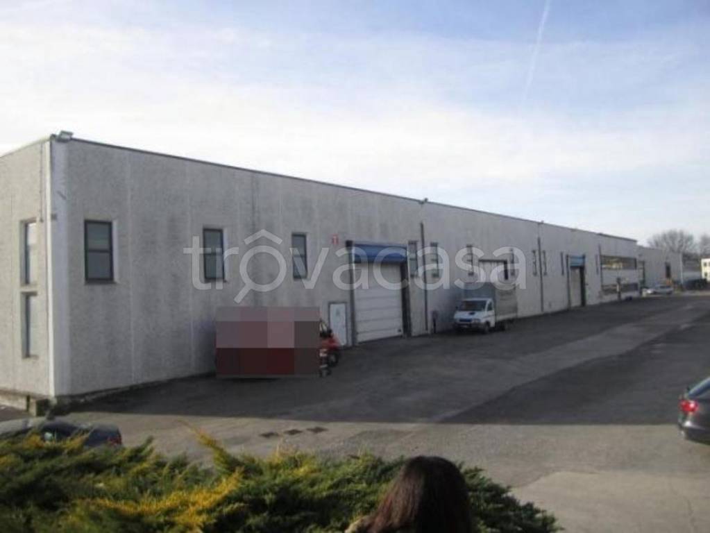 immagine annuncio 1 di 13