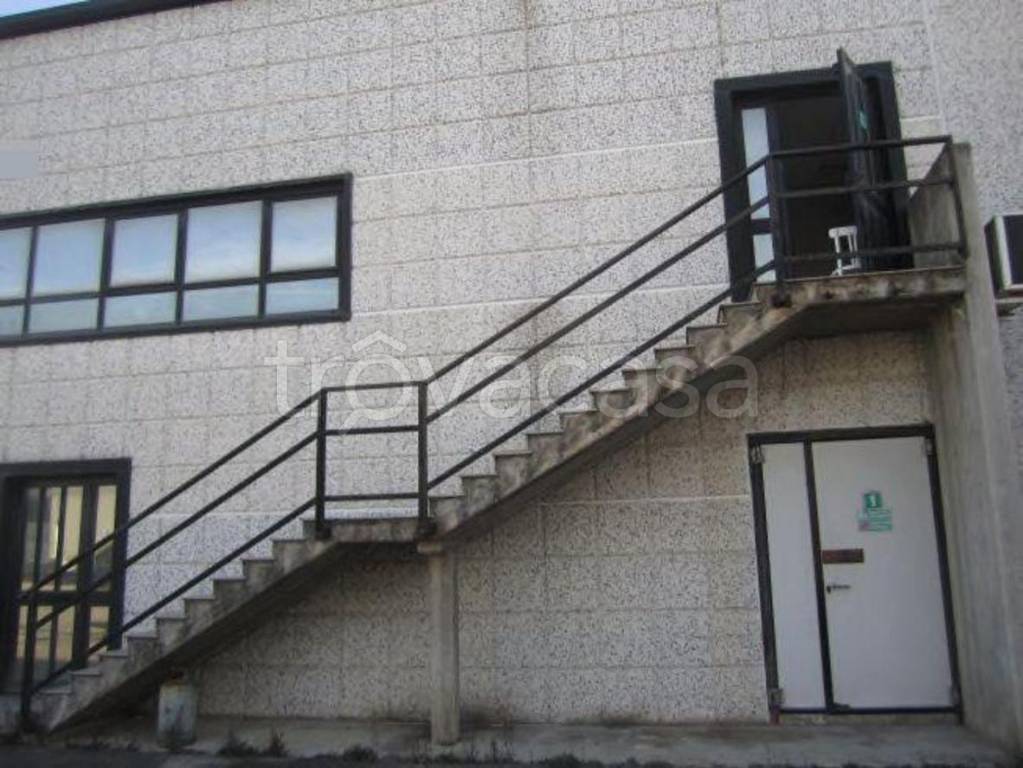 immagine annuncio 7 di 13