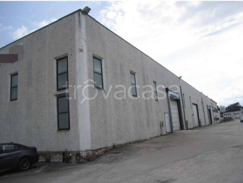 immagine annuncio 9 di 13