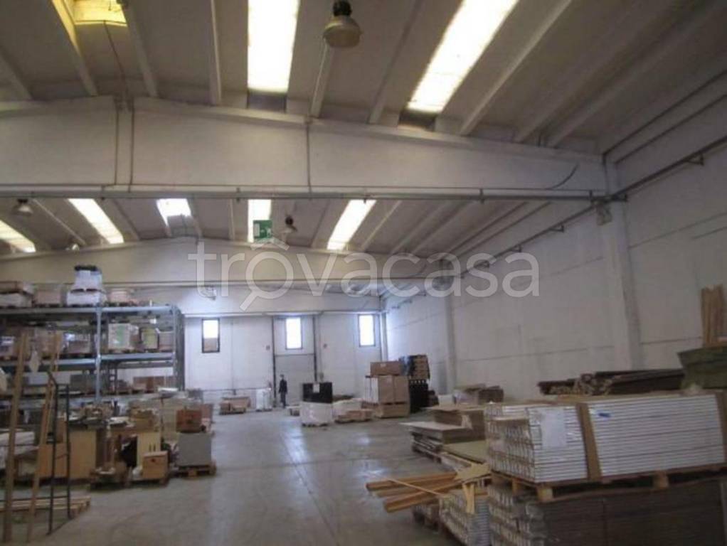 immagine annuncio 10 di 13