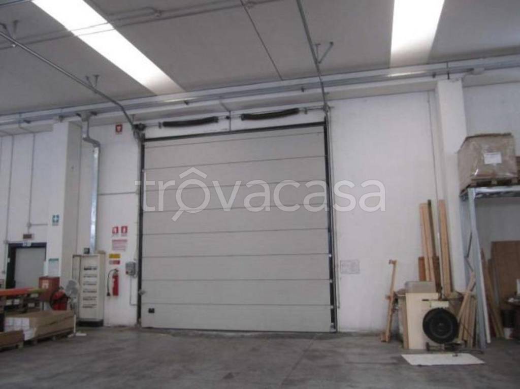 immagine annuncio 12 di 13