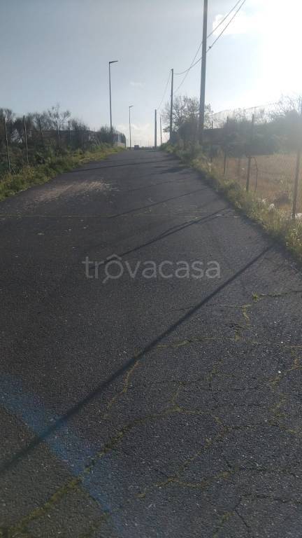 immagine annuncio 5 di 8