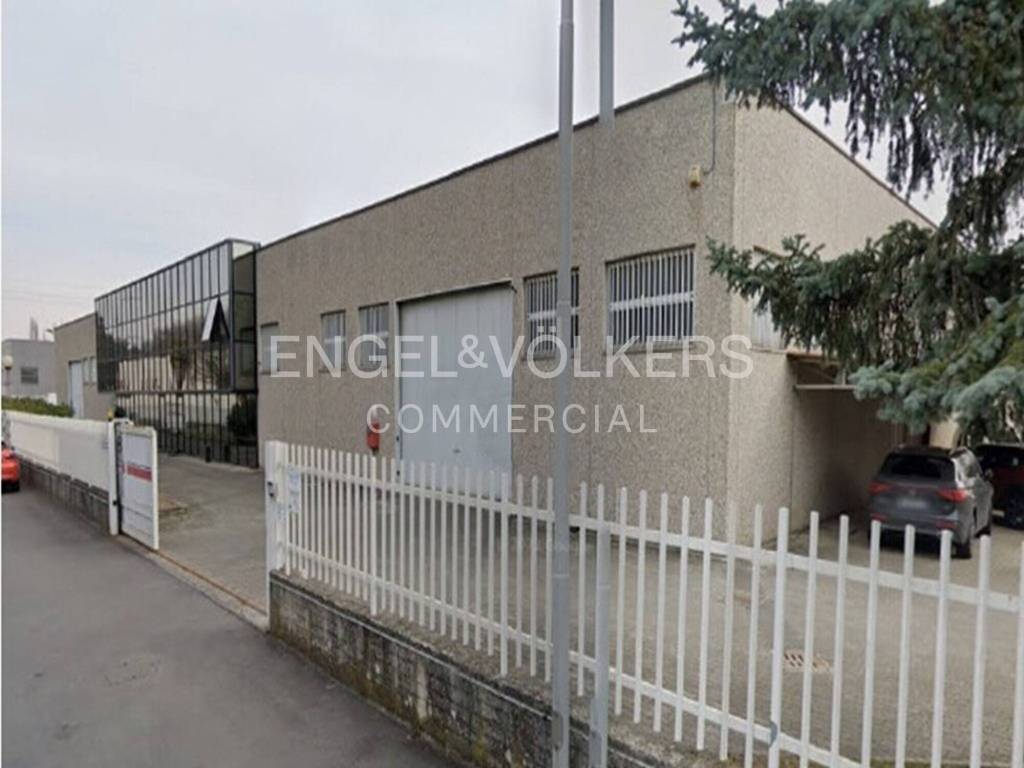 immagine annuncio 1 di 8