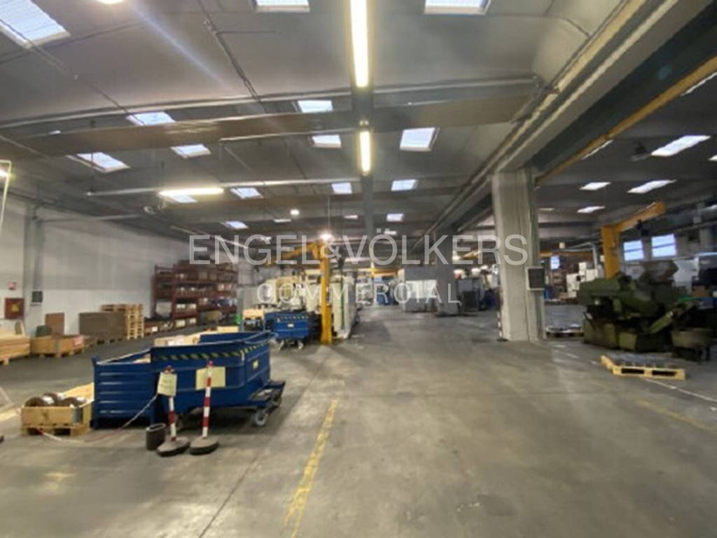 immagine annuncio 3 di 8