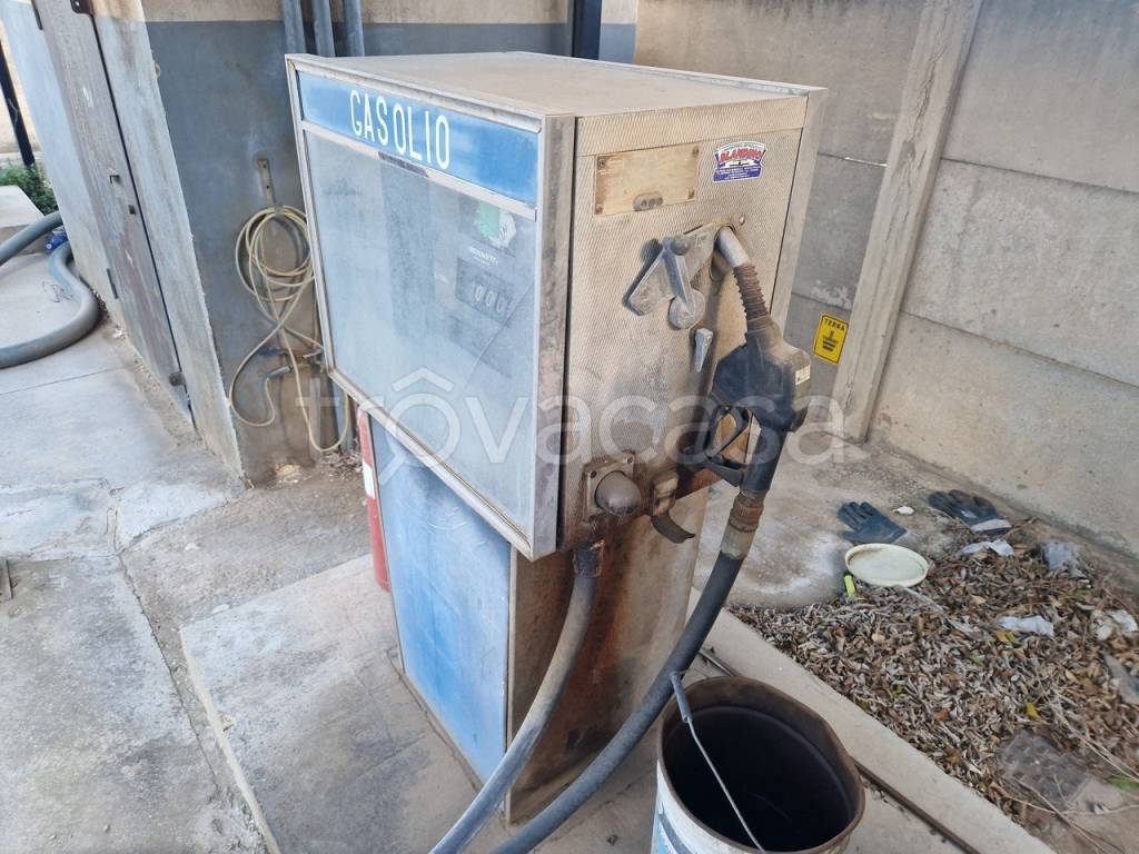 immagine annuncio 10 di 15