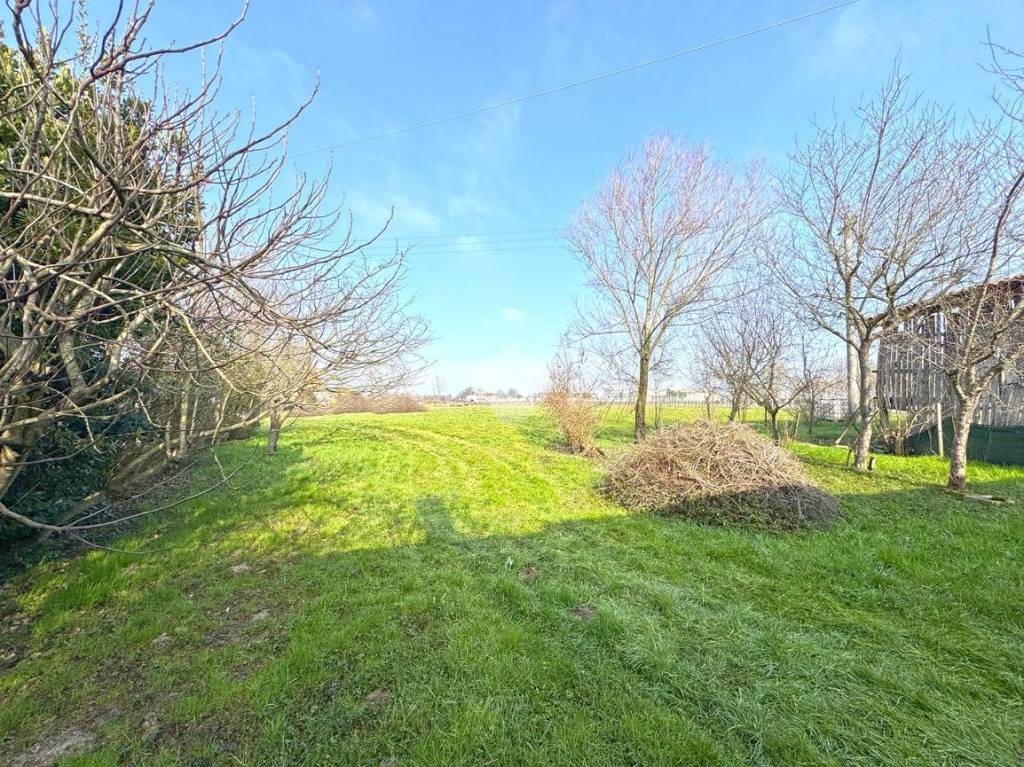 immagine annuncio 11 di 13