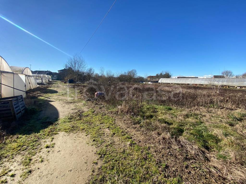 immagine annuncio 2 di 9