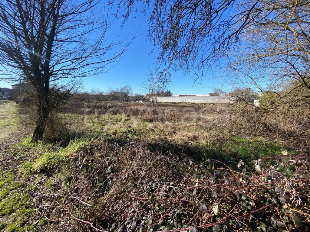 immagine annuncio 4 di 9