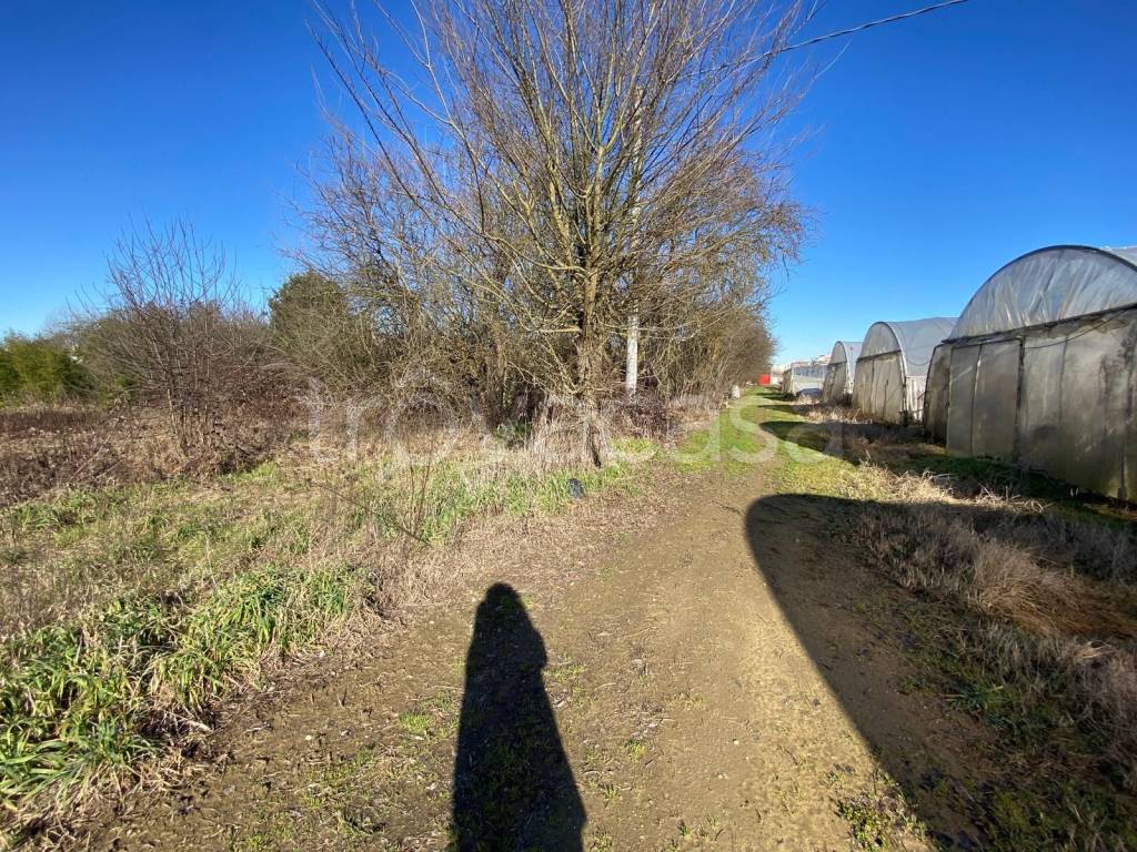 immagine annuncio 5 di 9