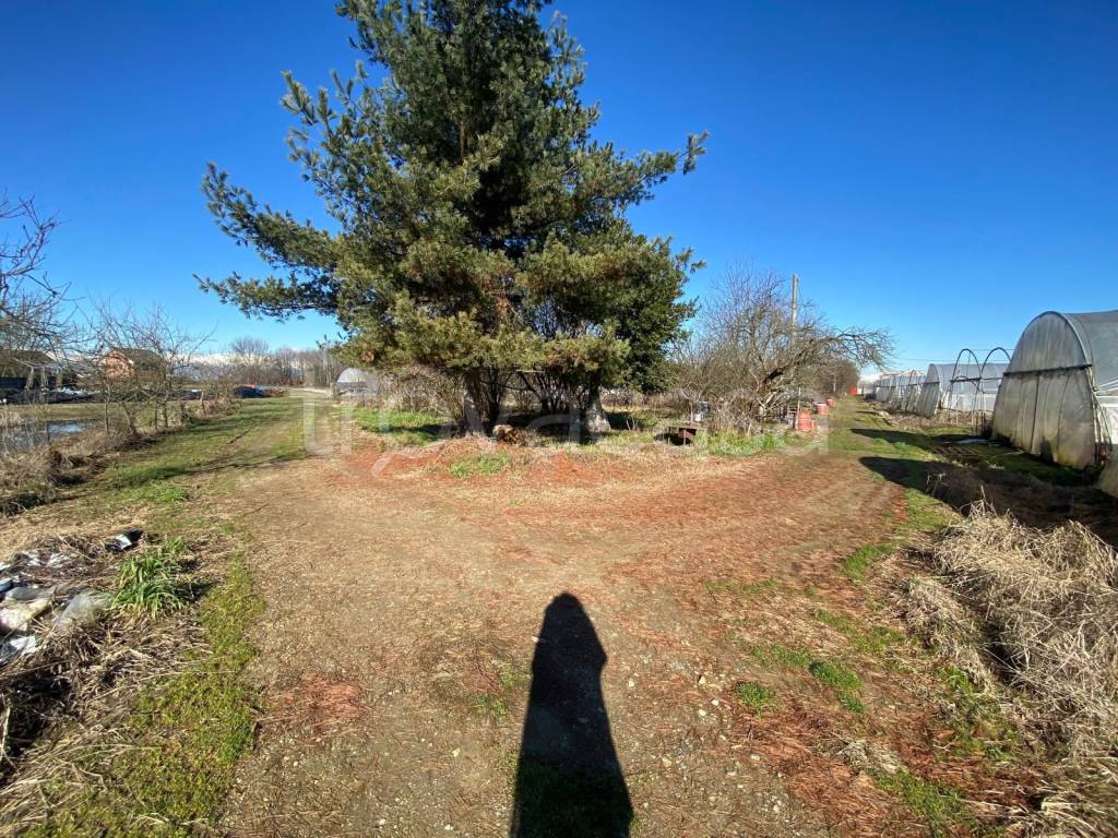 immagine annuncio 6 di 9