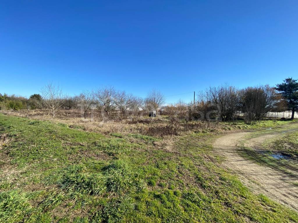 immagine annuncio 8 di 9