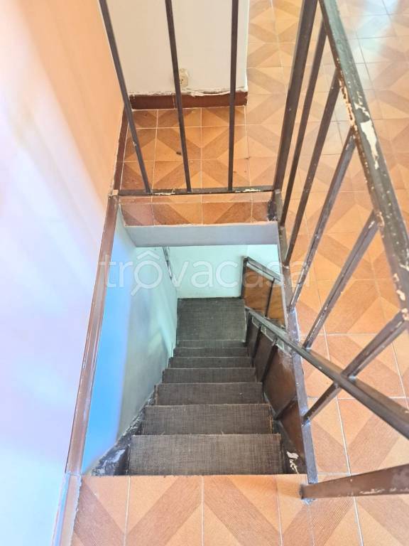 immagine annuncio 11 di 14