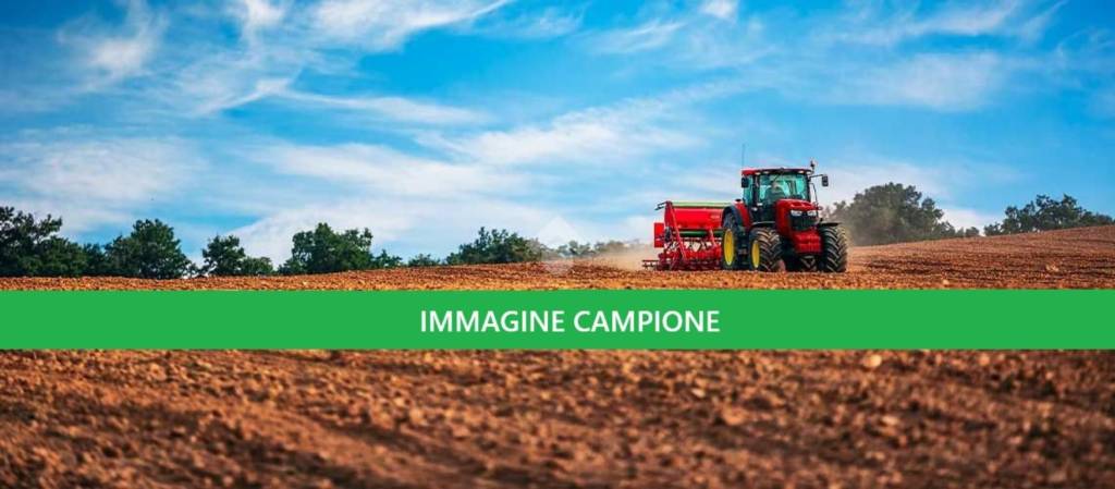 immagine annuncio 2 di 6