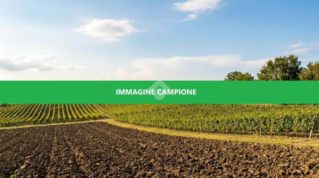 immagine annuncio 4 di 6