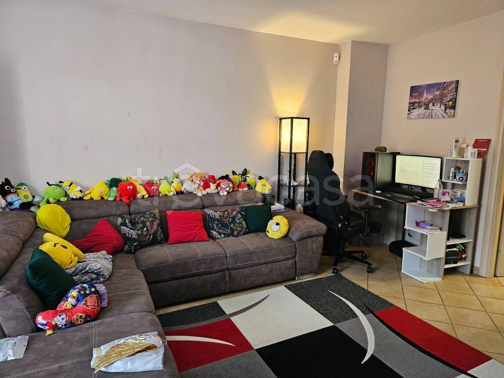 immagine annuncio 7 di 15