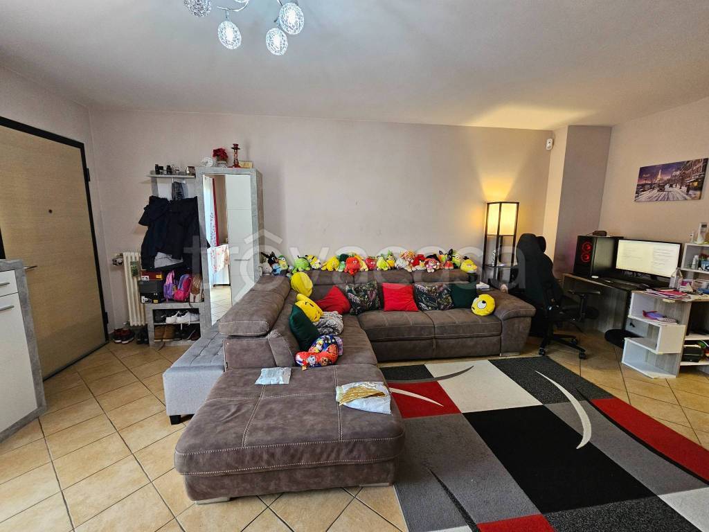 immagine annuncio 10 di 15