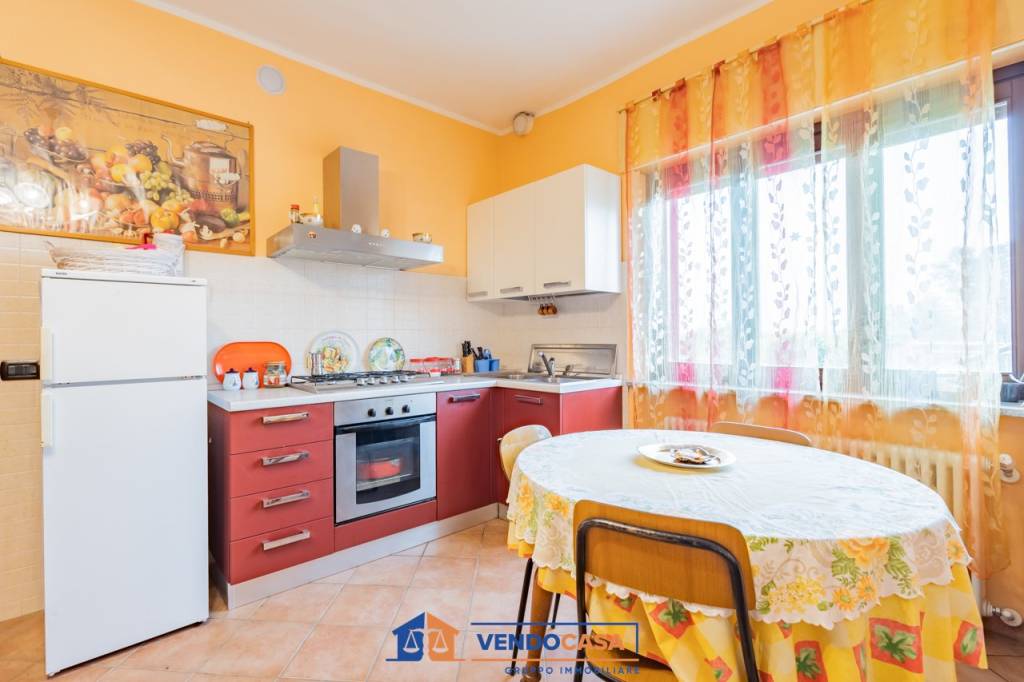 immagine annuncio 5 di 15