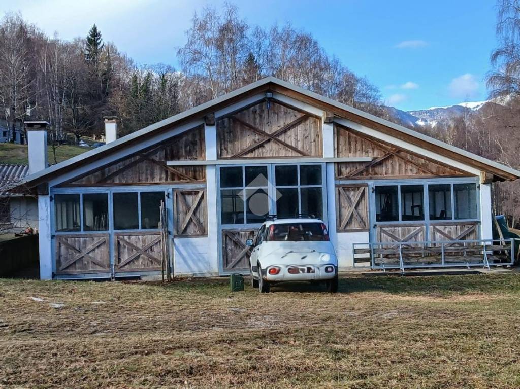 immagine annuncio 9 di 15