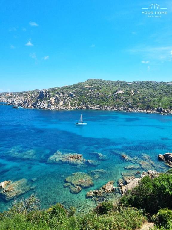 immagine annuncio 11 di 14