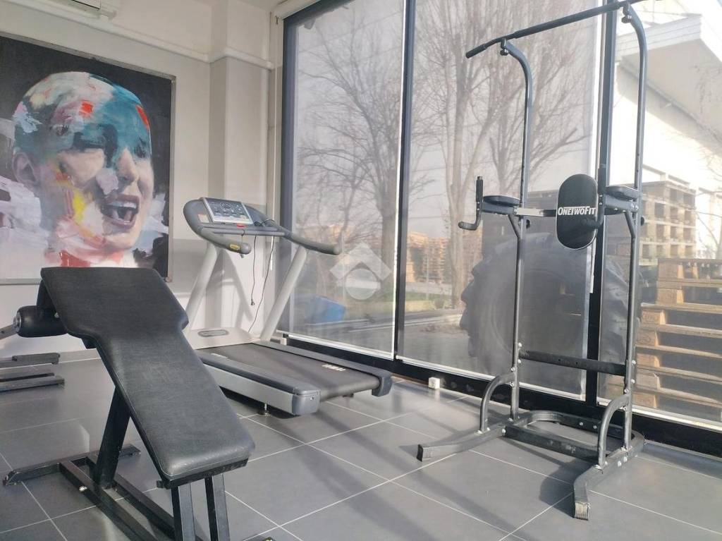 immagine annuncio 6 di 15