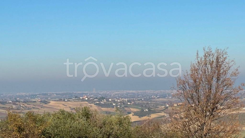 immagine annuncio 6 di 14