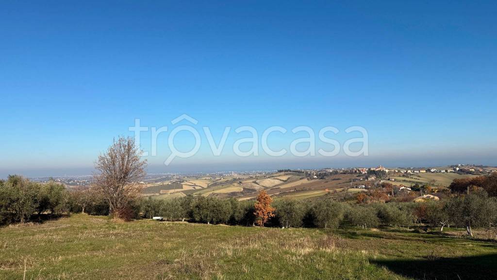 immagine annuncio 8 di 14