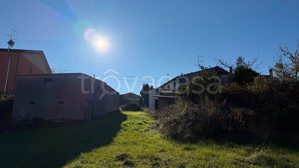 immagine annuncio 9 di 14