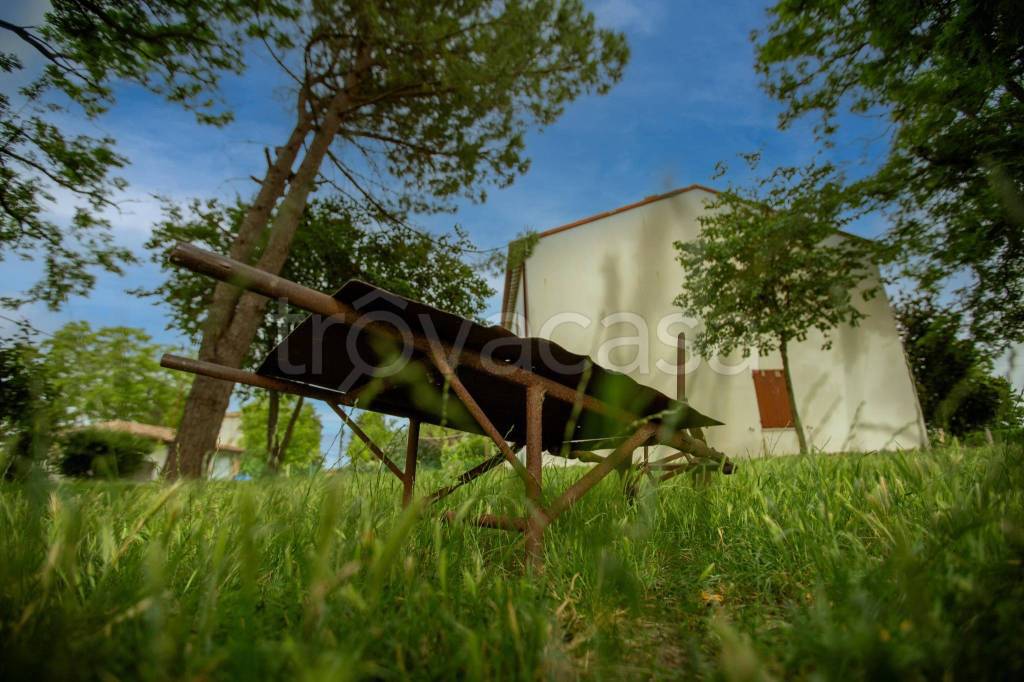 immagine annuncio 7 di 9