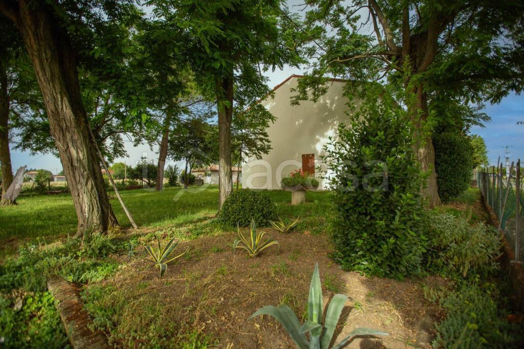 immagine annuncio 6 di 9