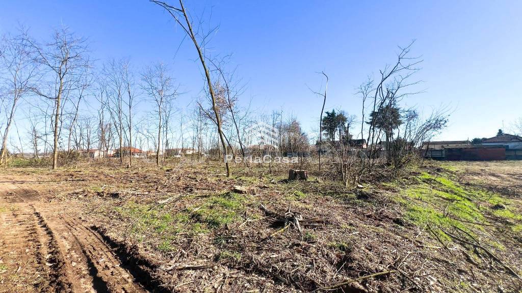 immagine annuncio 3 di 8