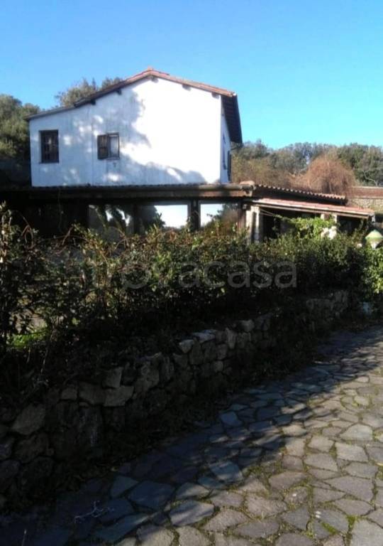 immagine annuncio 3 di 11