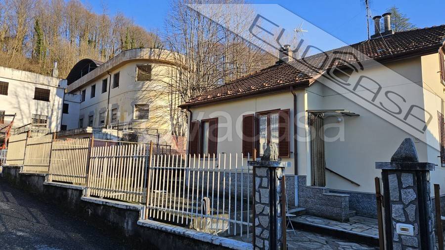 immagine annuncio 2 di 4