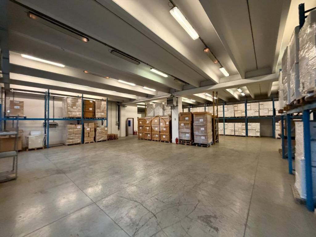 immagine annuncio 12 di 15