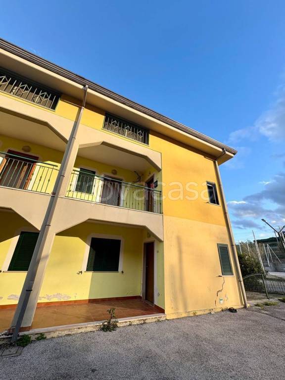 immagine annuncio 2 di 15