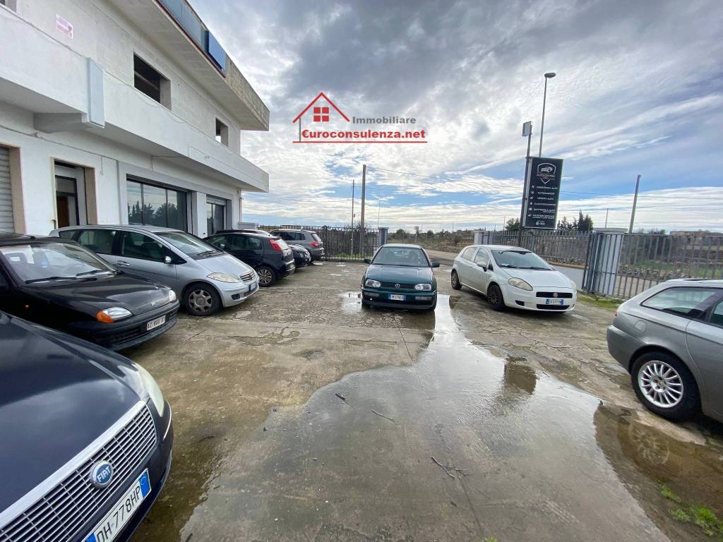 immagine annuncio 10 di 15